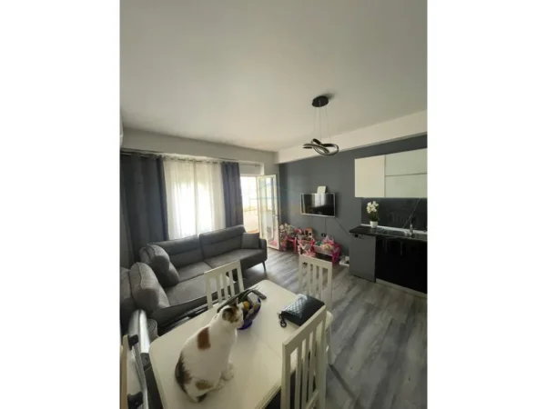 Tirane, shitet apartament 1+1 Kati 4, 61 m² 120.000 € (MARTENITETI I RI)