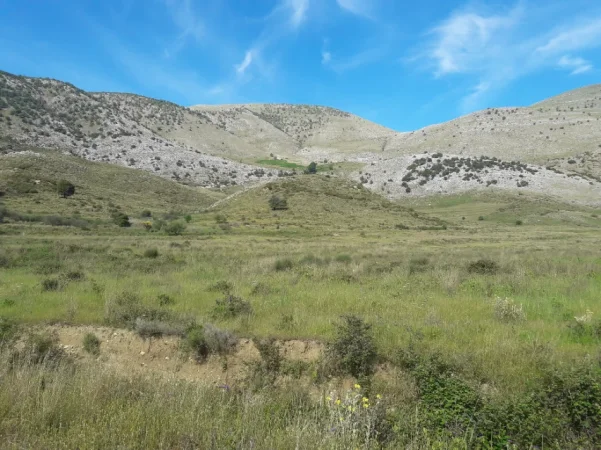 Sarande, shitet toke , 120.000 m² 400.000 € 