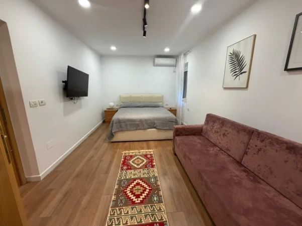 Tirane, jepet me qera apartament 1+1 Kati 1, 48 m² 530 € (21 Dhjetori)