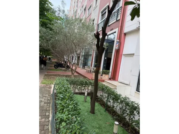 Tirane, shitet ambjent biznesi Kati 0, 21 m² 65.000 € (Rruga e Kosovareve)