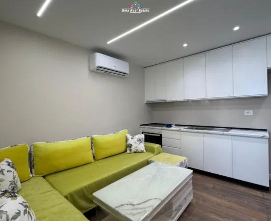 Tirane, jepet me qera Vile 2+1 Kati -1, 78 m² 630 € (sauk i ri)