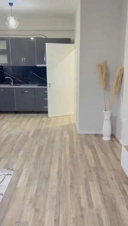 Tirane, jepet me qera apartament 1+1+Ballkon Kati 2, 66 m² 500 € (Astir)