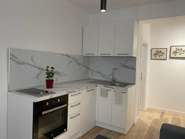 Tirane, jepet me qera apartament 1+1 Kati 4, 60 m² 650 € (Rr. Myslym Shyri)