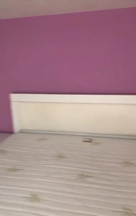 Tirane, jepet me qera apartament 1+1 Kati 1, 50 m² 350 € (Prane Xhamis Xhura Oxhaku)