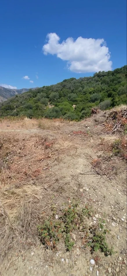 Borsh, shitet , 2.545 m² 