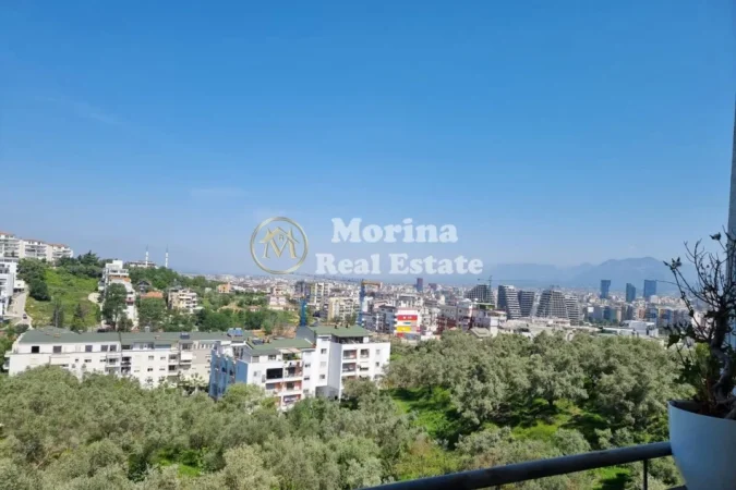 Tirane, jepet me qera apartament 2+1 Kati 0, (Shitet Apartament 333 Liqeni Artificial)