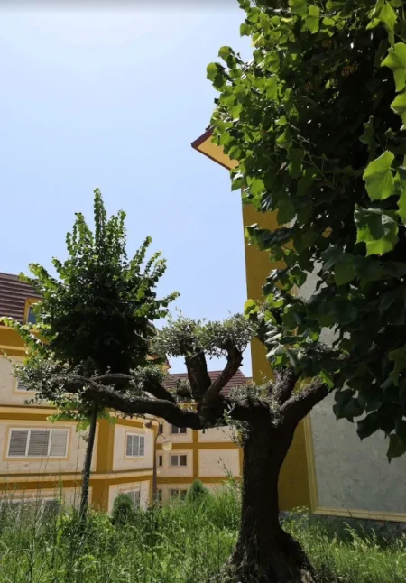 Tirane, shitet apartament 1+1 , 79 m² 129.000 € (farke)