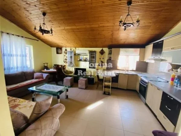 Tirane, shitet apartament 2+1 Kati 0, 263 m² 219.000 € (Rruga Iliria)