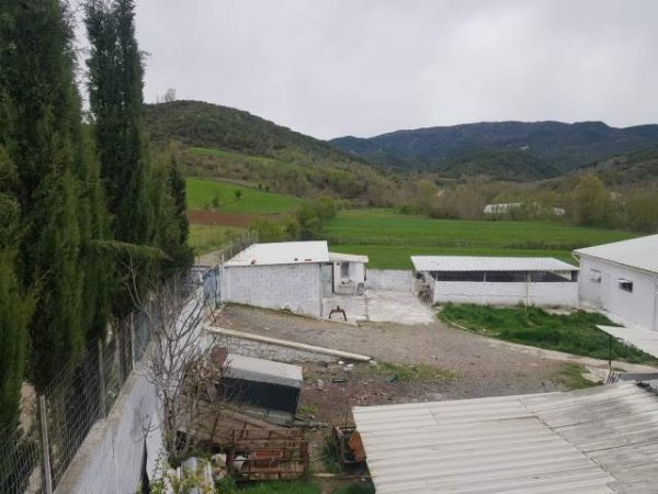 Tirane, shes truall 2.000 m² 300.000 Euro (Baldushk)