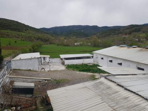 Tirane, shes truall 2.000 m² 300.000 Euro (Baldushk)