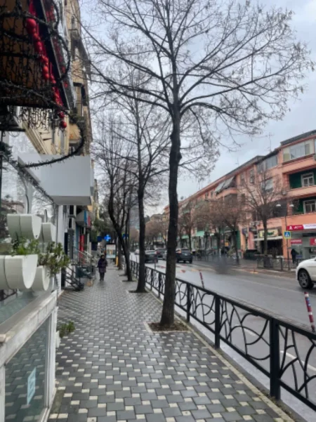 Tirane, shes ambjent biznesi Kati -1, 95 m² 167.000 € (Rruga Durresit, Perballe Koloseut)