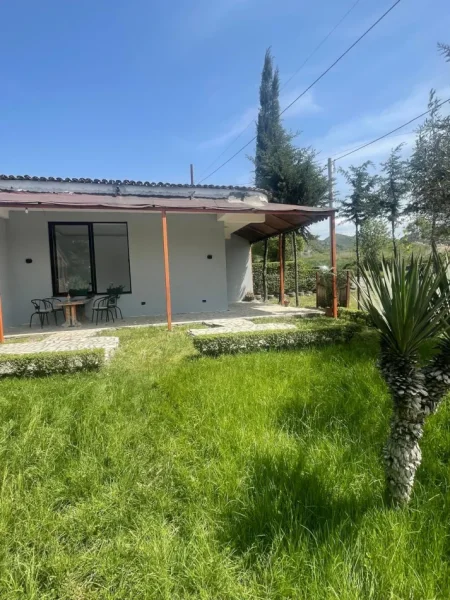 Tirane, jepet me qera ambjent biznesi Kati 0, 50 m² (Peze-Helmes,Tirane)