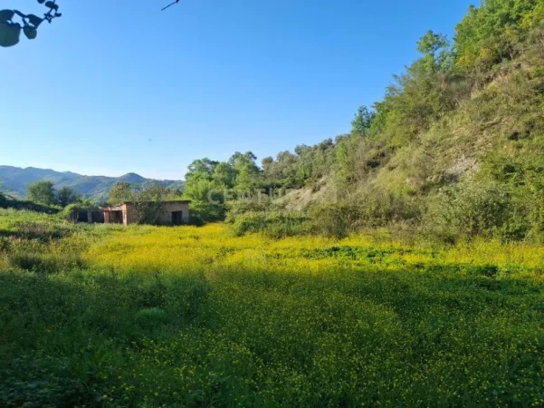 Tirane, shitet toke , 4.300 m² 249.400 € 