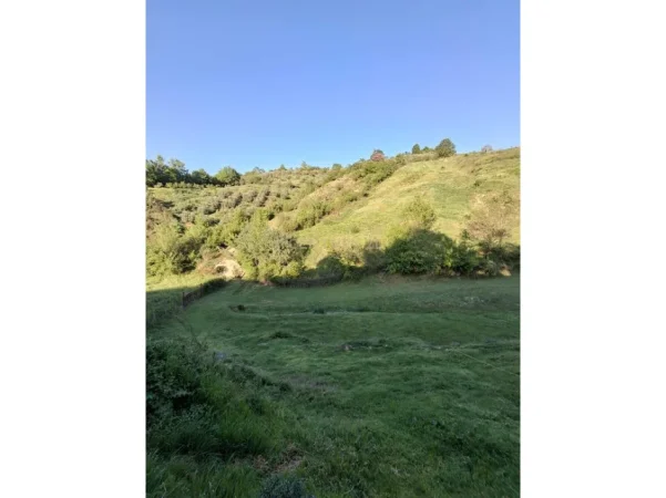 Tirane, shitet toke , 4.300 m² 249.400 € 