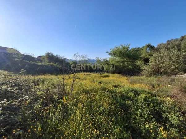 Tirane, shitet toke , 4.300 m² 249.400 € 