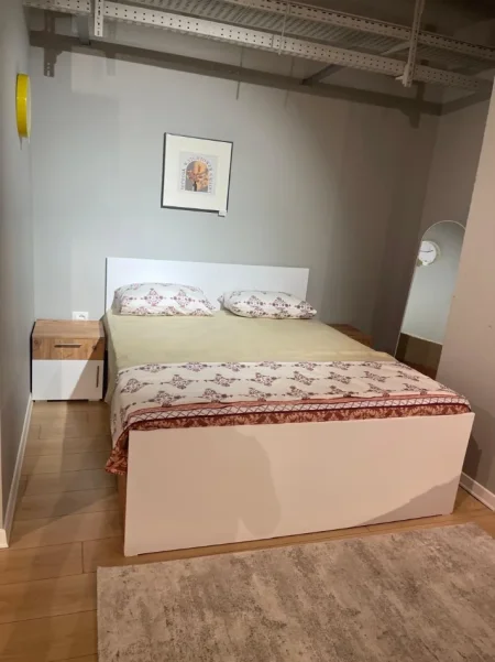 Tirane, jepet me qera apartament 1+1 Kati 2, 500 € (Kopshti Zoologjik)