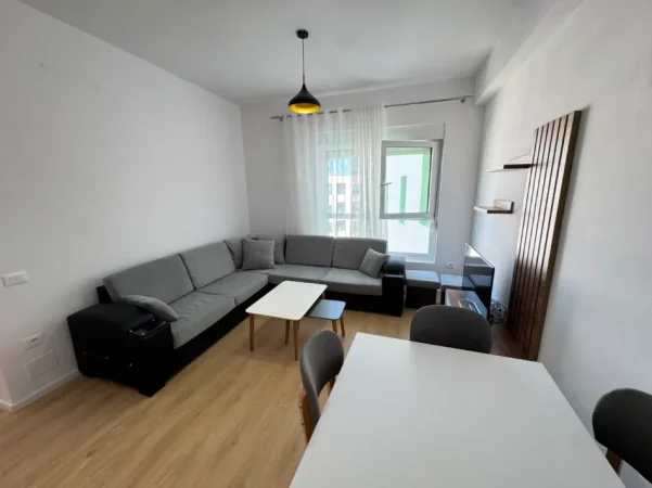 Tirane, jepet me qera apartament 1+1 Kati 7, (Ali Demi)