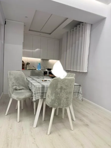 Tirane, jepet me qera apartament 1+1+Aneks+Ballkon Kati 1, 60 m² 400 € (Spitalet afer Shkolles Barjam Curri, Allias)