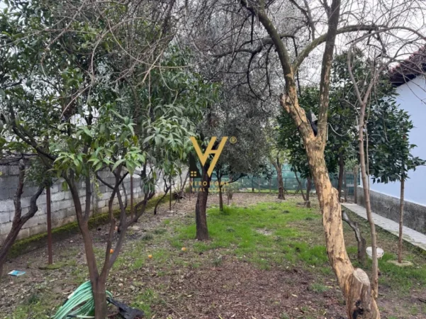 Tirane, jepet me qera shtepi 2+1+Ballkon Kati 0, 411 m² 520 € (ALLIAS)