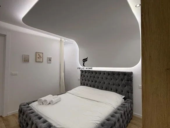 Tirane, jepet me qera garsonier Kati 0, 42 m² 550 € (21 DHJETORI)
