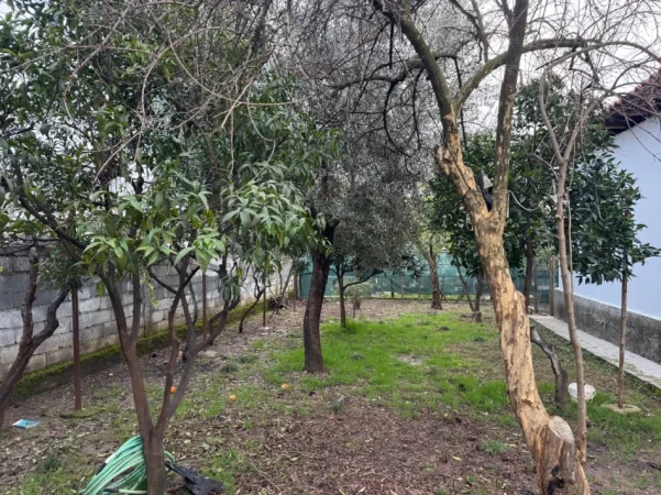 Tirane, jepet me qera shtepi 2+1 Kati 1, 111 m² 500 € (ALLIAS)
