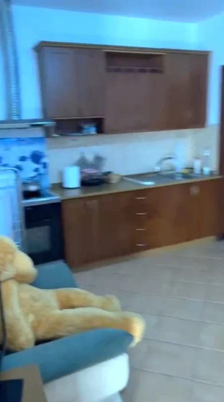 Tirane, jepet me qera Vile 1+1 Kati 4, 50 m² 400 € (Rruga e Durresit/Rr.Viktor Hygo)