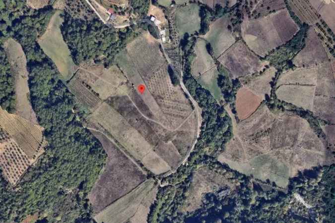 Tirane, shitet toke , 11.300 m² (Daias)