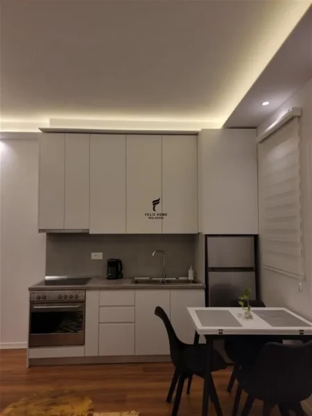 Tirane, jepet me qera apartament 1+1 Kati 1, 60 m² 550 € (RRUGA E DURRESIT)