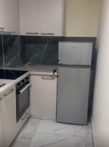Tirane, jepet me qera apartament 1+1 Kati 1, 45 m² 370 € (ALI DEMI)