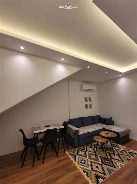 Tirane, jepet me qera Vile 1+1+Ballkon Kati 1, 60 m² 580 € (rruga e durresit)
