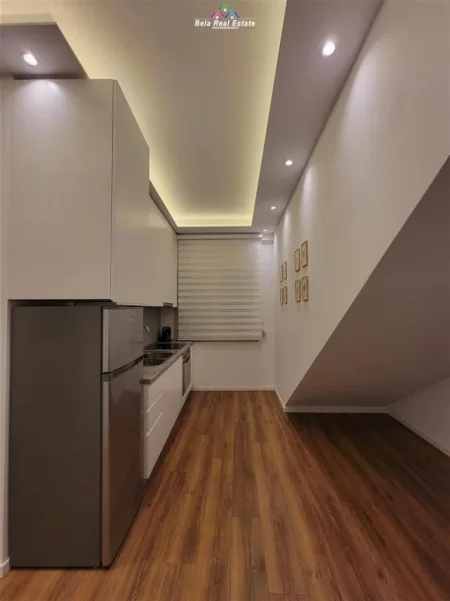 Tirane, jepet me qera Vile 1+1+Ballkon Kati 1, 60 m² 580 € (rruga e durresit)