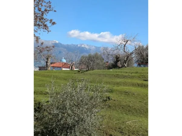 Tirane, jepet me qera apartament 1+1 Kati 3, 66 m² 450 € (kodra e diellit 1)