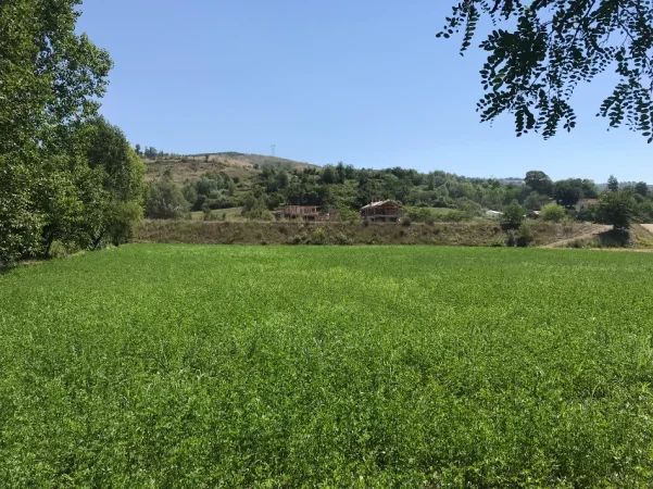 Librazhd, shes toke , 6.500 m²