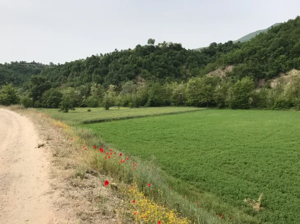 Librazhd, shes toke , 6.500 m²