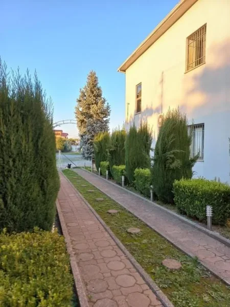 Shkoder, shitet magazine Kati 2, 3.000 m² 700.000 € 