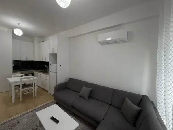 Tirane, jepet me qera apartament 1+1 Kati 5, 350 € (Ali Demi)