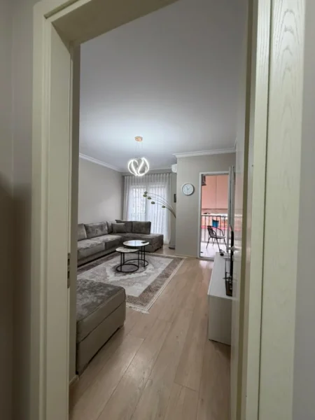 Tirane, jap me qera apartament 1+1 Kati 2, 56 m² 650 € (alidemi)