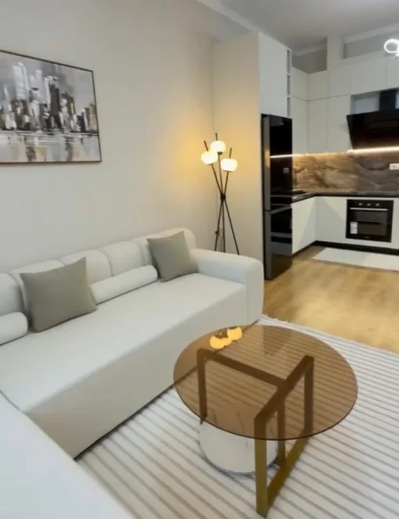 Tirane, jepet me qera apartament 2+1+Ballkon Kati 1, 115 m² 600 € (Rruga Sokrat Miho)