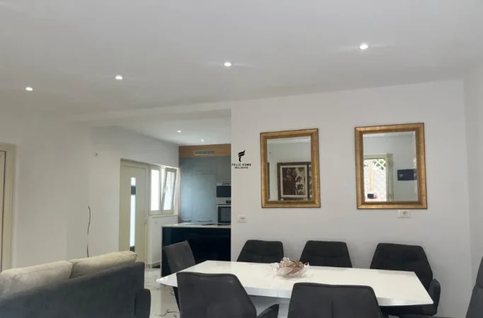 Tirane, jepet me qera apartament 2+1 Kati 1, 80 m² 550 € (STACIONI I TRENIT)