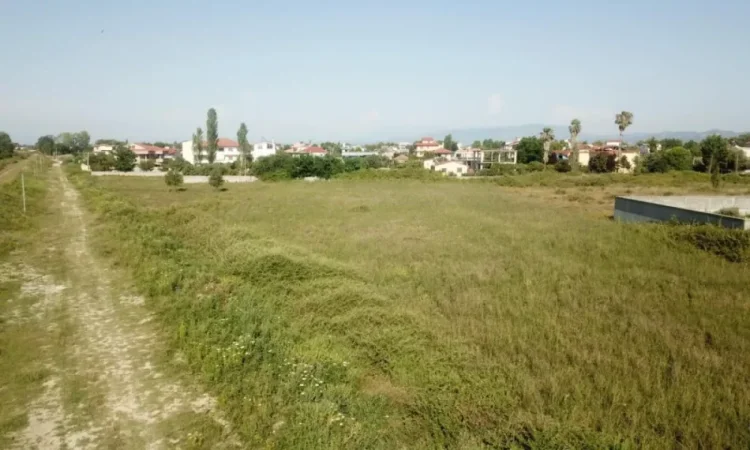 Fier, shes toke , 8.500 m² 