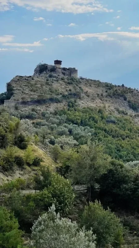 Tirane, shitet toke , 3.500 m² 385.000 € (Petrele)