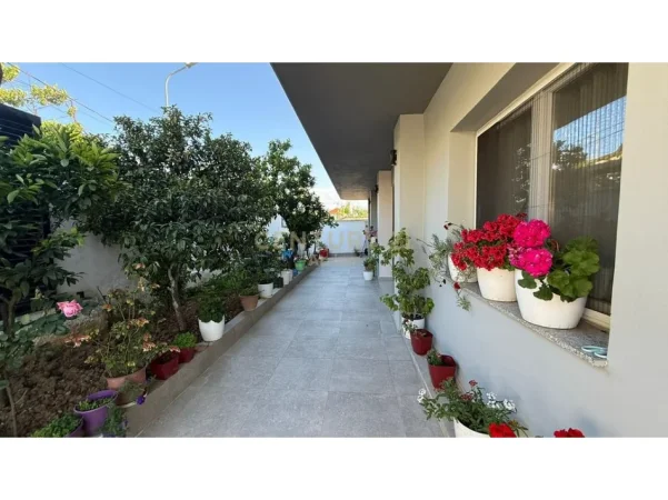 Tirane, jepet me qera Vile Vile 2 Katshe Kati 0, 402 m² 2.800 € (sauk)
