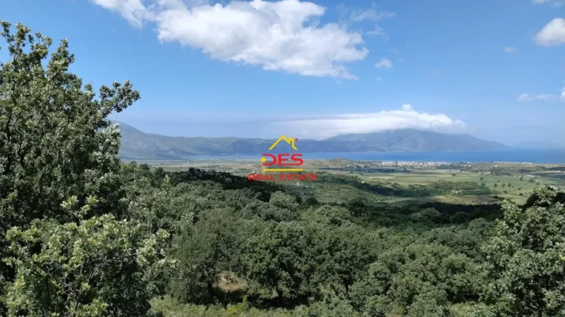 Vlore, shitet toke , 6.200 m² (Tragjas)