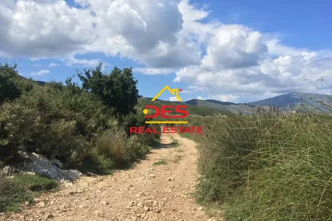 Vlore, shitet toke , 6.600 m² (Tragjas)
