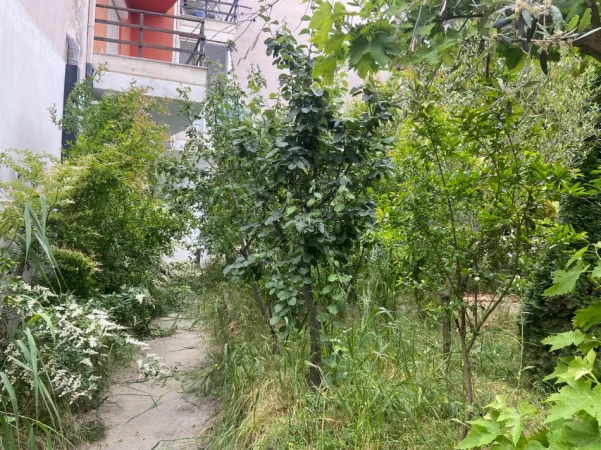 Mali Robit, apartament 1+1 Kati 1, 70 m² 400 € (Rruga Skenderbeu)