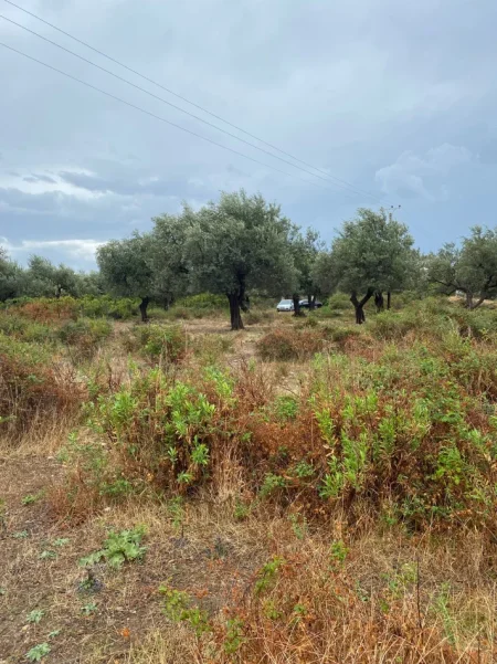 Borsh, jepet me qera truall , 1.000 m² 149.800 € (Ne Borsh Sarande)