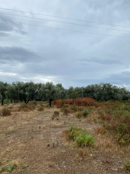 Borsh, jepet me qera truall , 1.000 m² 149.800 € (Ne Borsh Sarande)