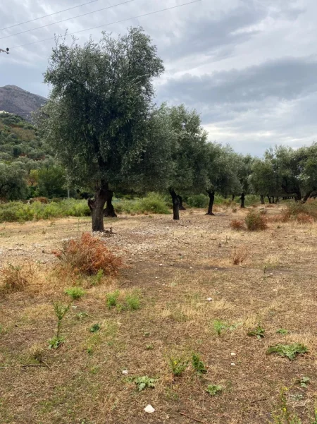 Borsh, jepet me qera truall , 1.000 m² 149.800 € (Ne Borsh Sarande)