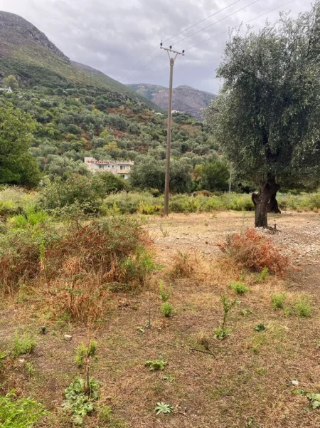Borsh, jepet me qera truall , 1.000 m² 149.800 € (Ne Borsh Sarande)
