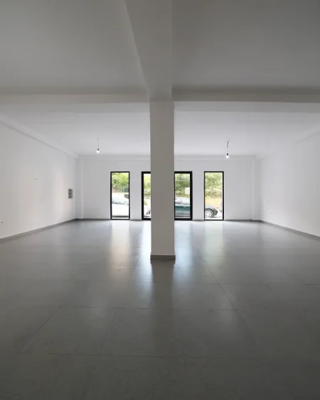 Tirane, shitet ambjent biznesi Kati 0, 109 m² 315.000 € (RRUGA KONGRESI I LUSHNJES)